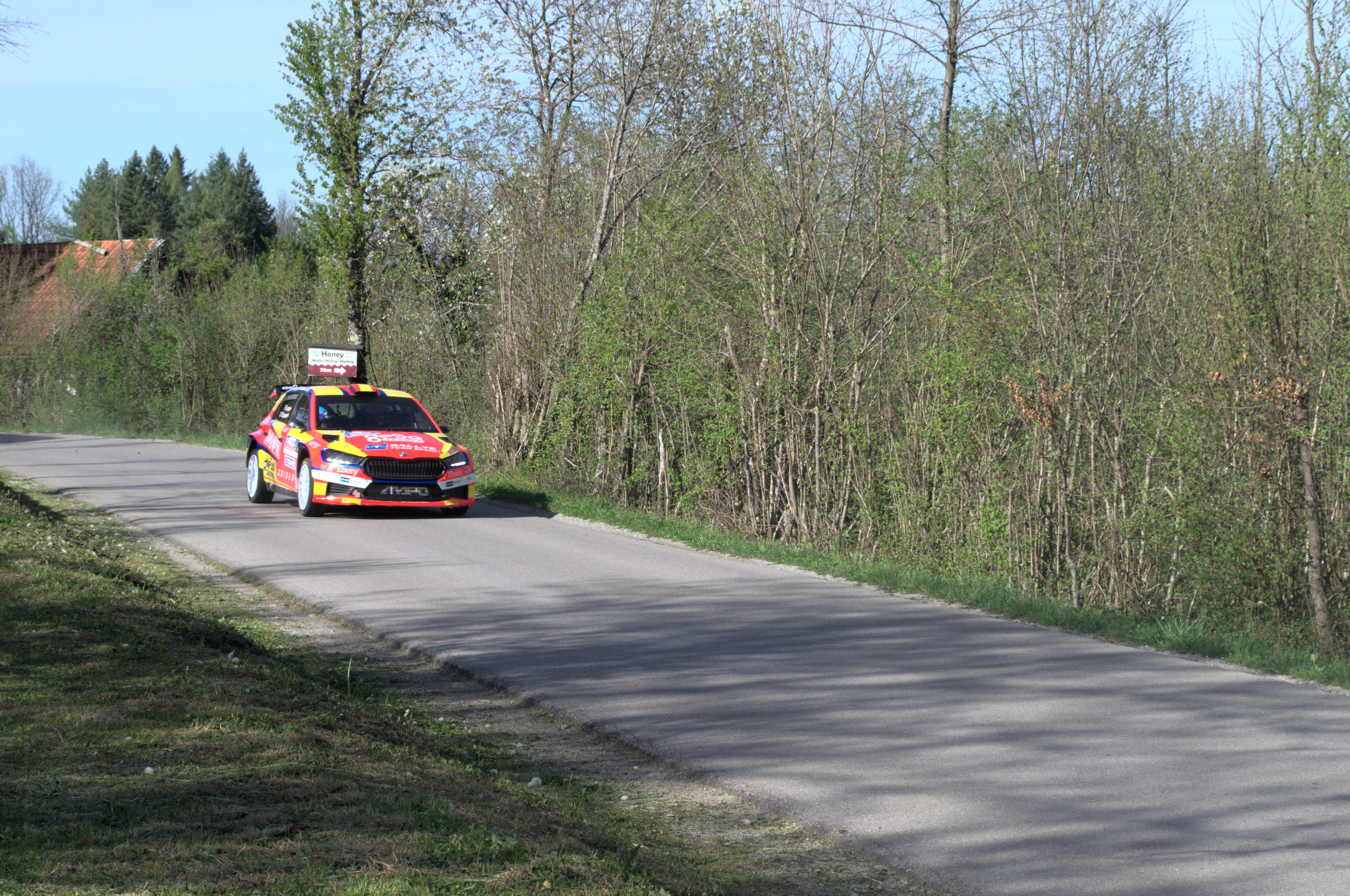 Pepe Lopez rally car Quattro river rally 2024